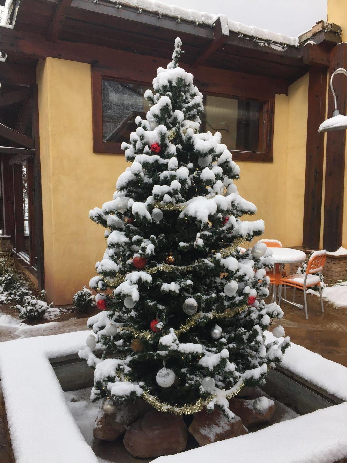 Desert Pearl Inn Springdale Zewnętrze zdjęcie